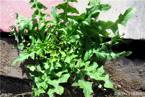 1584583099917886.jpg 11_副本.jpg