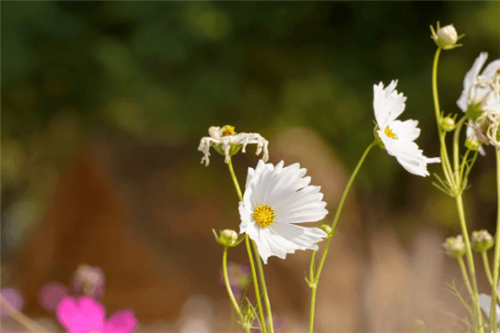 1584955769544064.png 22_副本.png