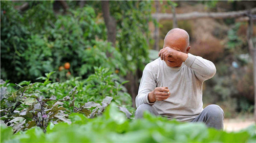 1585654355875192.jpg 11_副本1.jpg