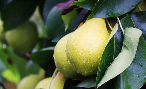 1588487755313149.jpg 22_副本.jpg