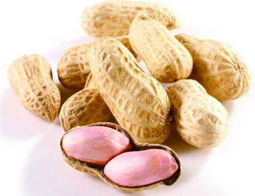 1604470674582146.jpg 22.jpg