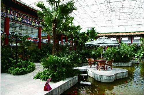 1606281634818922.jpg 888.jpg