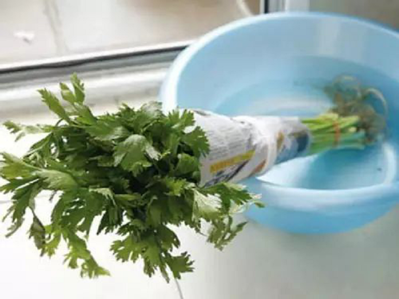 1607414632253634.png 图片11.png