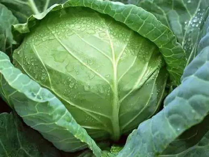 1607414692742588.png 图片14.png