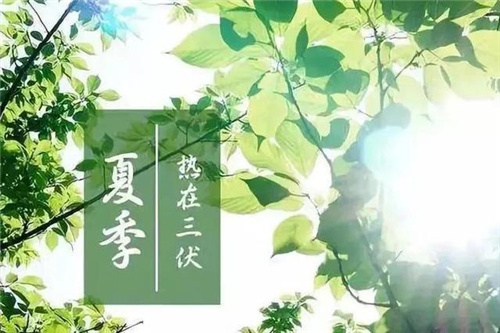 1624267554284950.jpg 66.jpg