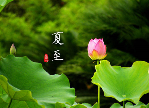 1624267583551606.jpg 77.jpg