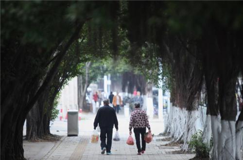 1628241220525509.png 6.png